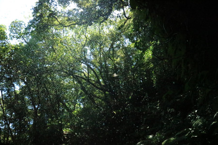 裏見ヶ滝 - 04