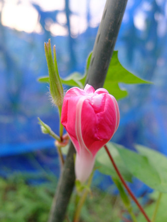 DSCF8562