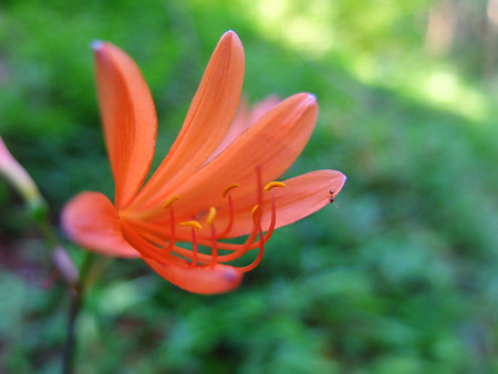 DSCF8969