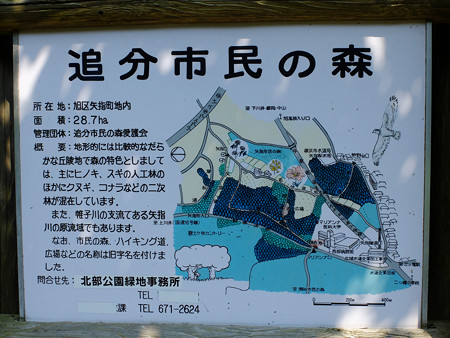 DSCF8942