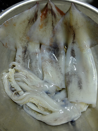 DSCF9515