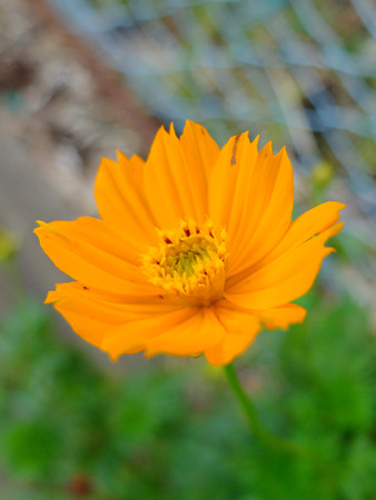 DSCF0184