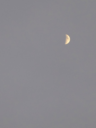 DSCF0513