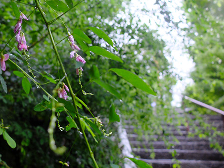 DSCF1148