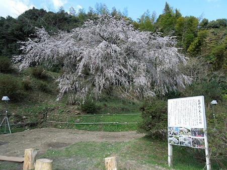 DSCN1376
