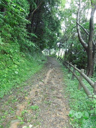 DSCN3609