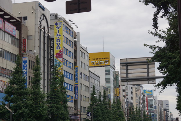 DSC00013