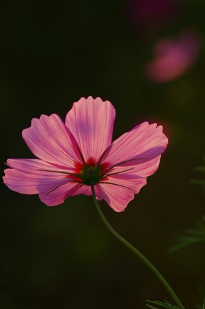 IMGP3820