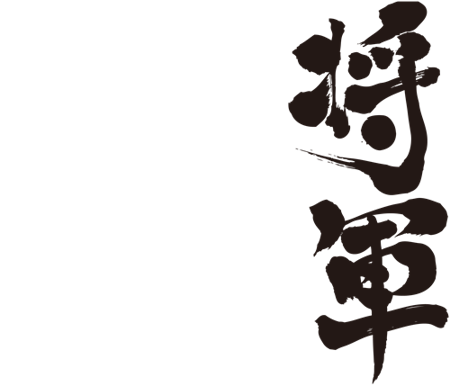 Tokugawa shogunate summary picture