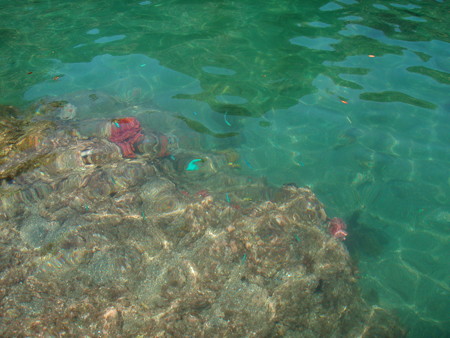 田子瀬浜海水浴場にて　５