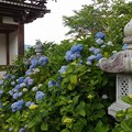 DSCF1504s-