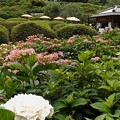 DSCF1604s-