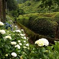 DSCF1605s-