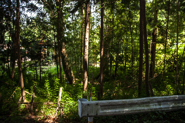 _MG_0020