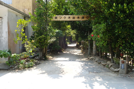 DSC02375