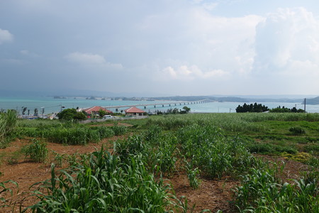 DSC02392