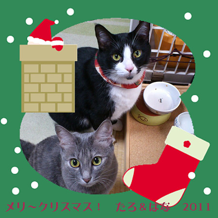 皆さま、メリ~クリスマス!