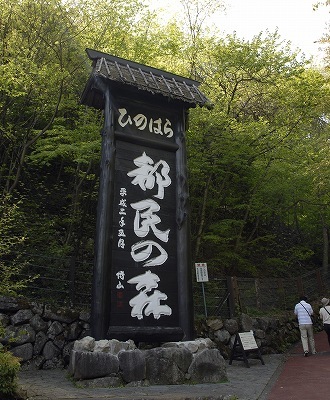 都民の森3