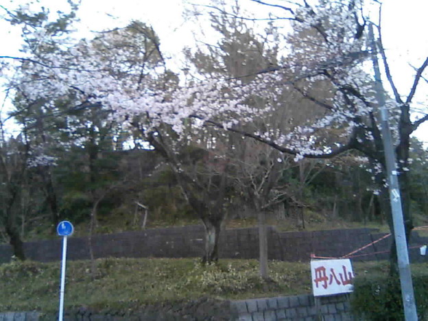 上村优子28