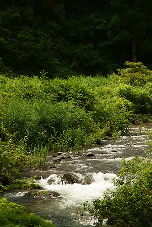 夜叉ケ池道