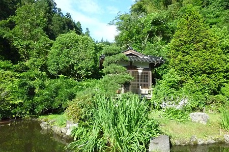 1106230738_P1750722