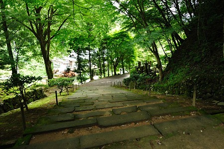 1106230956_DSC_1925
