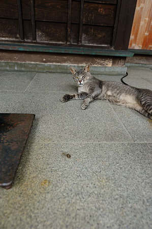 1108131558_DSC_4872