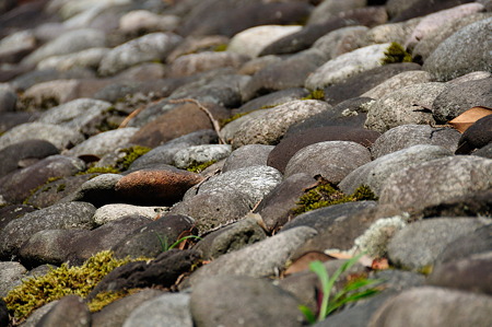 1108141114_DSC_6298