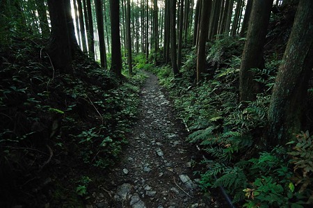 1009180609_DSC_9690