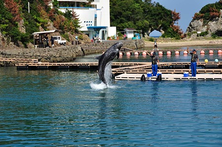 1009191416_DSC_1950