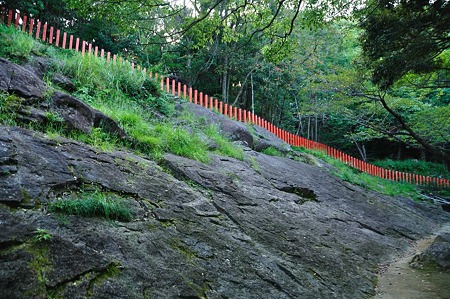 1009191623_DSC_2223