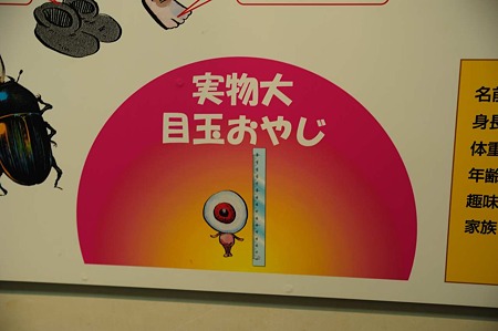 1010191348_DSC_2657