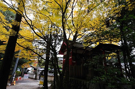 1011231050_DSC_4358