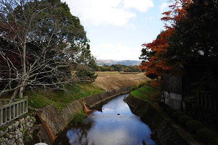 1011231341_DSC_4648