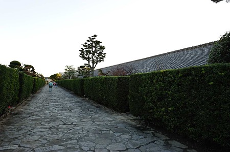 1011231557_DSC_4866