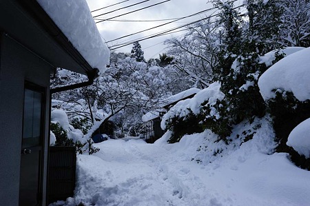 1101011148_DSC_6127