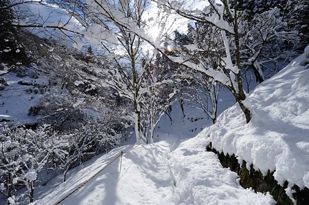 1101011200_DSC_6154