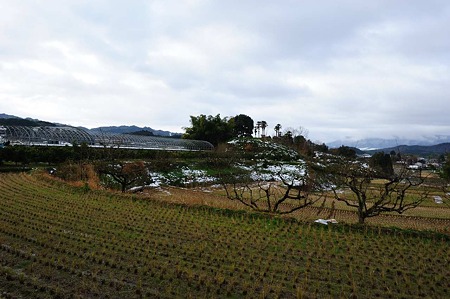 1101020859_DSC_6814