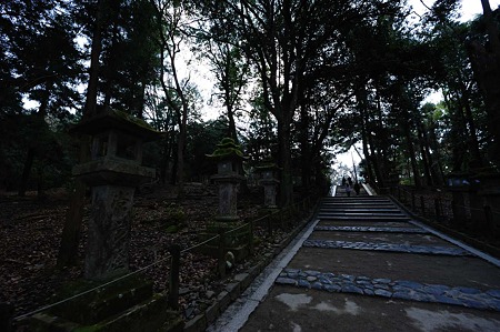 1101041038_DSC_8590