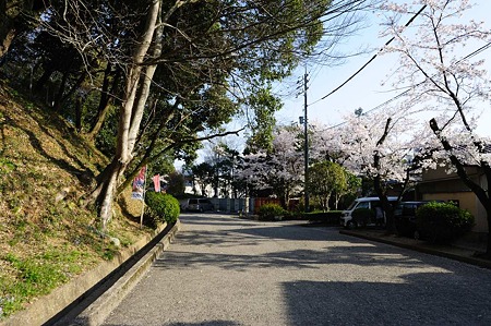 1104121635_DSC_9411