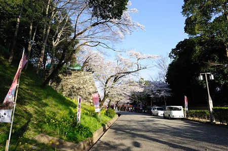 1104121636_DSC_9412
