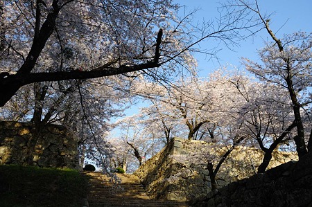 1104121717_DSC_4950