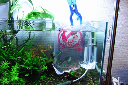 水あわせ