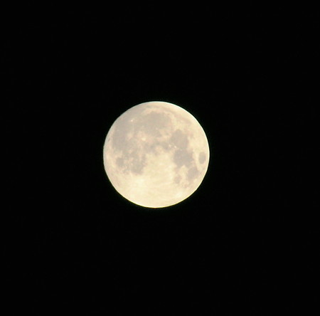 DSC09183