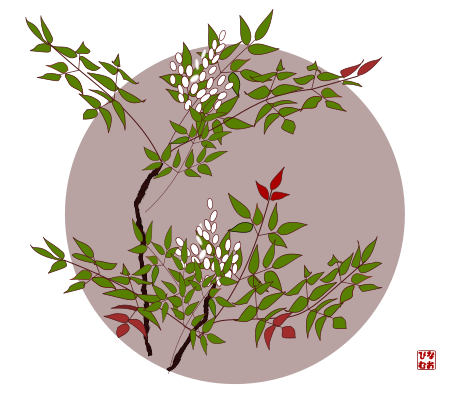 南天の花