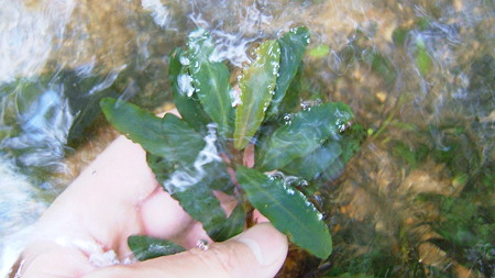 DSCF9800