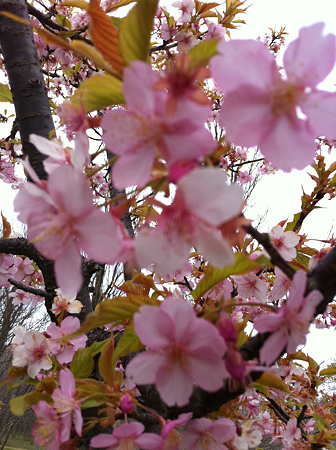 写真 4