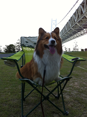 写真 3