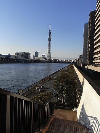 スカイツリー見学