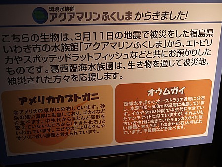 アクアマリンふくしま
